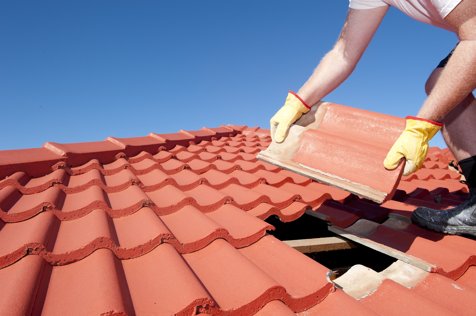 Ogden Roofer