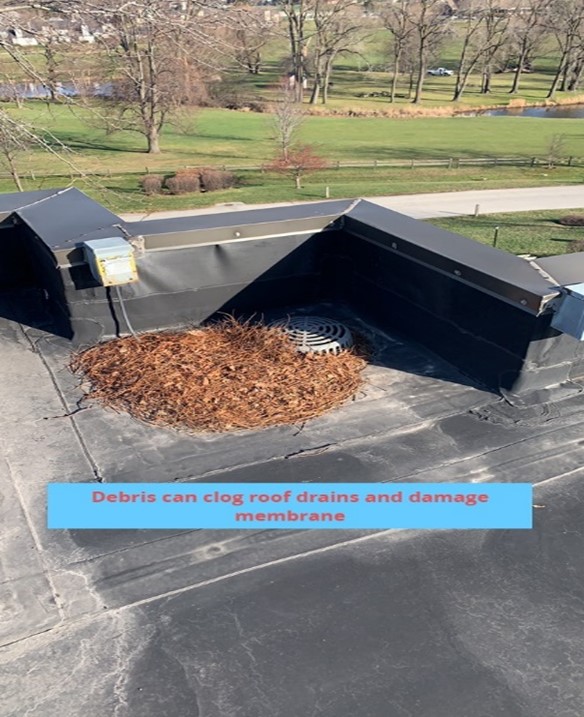 Debris Clogging Roof Drains