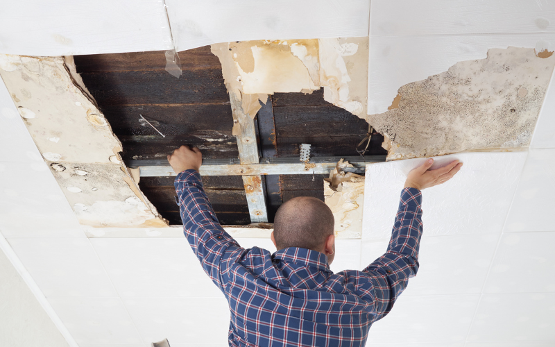Consequences of Going with the Low bidding Roofing company